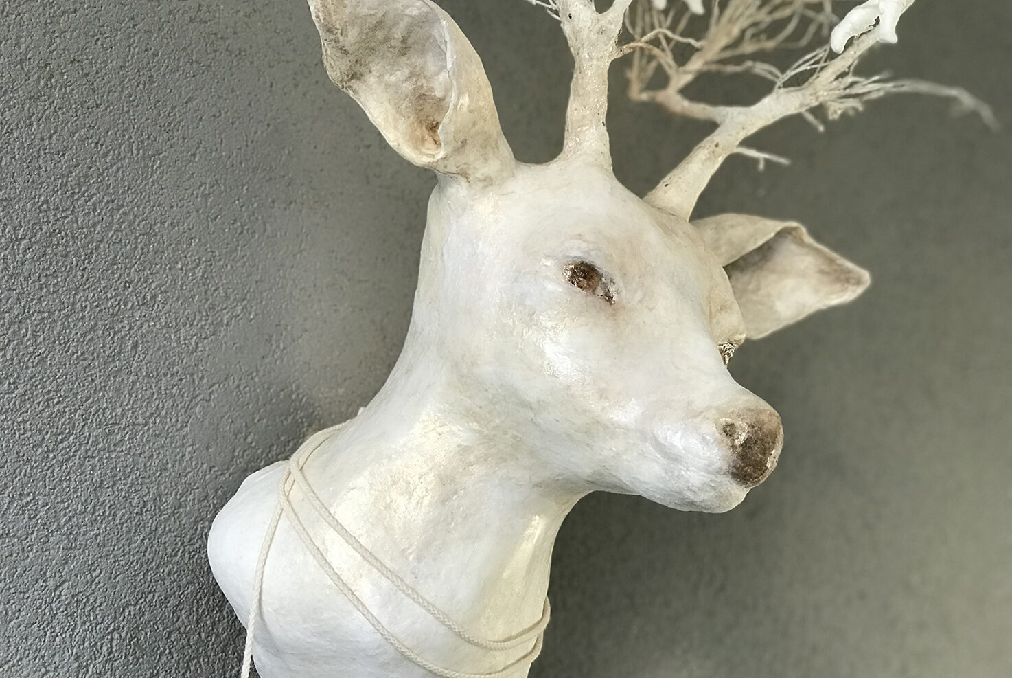 painting a cotton deer head